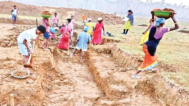 బోగస్‌: 60 వేలు