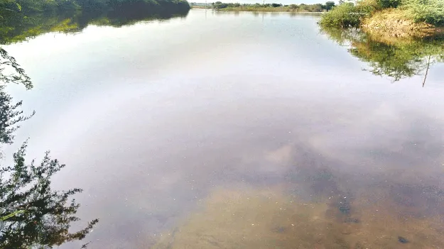 న ల్లగా మారిన  కులుమాల కుంట నీరు