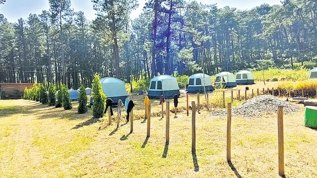 ప్రకృతి ఒడిలో బస