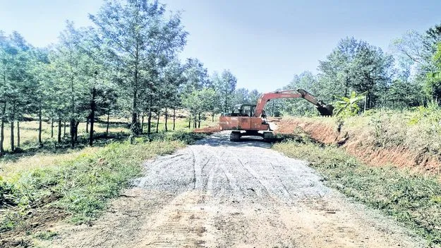 తీరనున్న డోలీ కష్టాలు