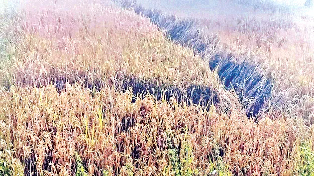 Storm tension తుఫాన్‌ కలవరం