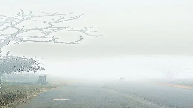 మన్యాన్ని వణికిస్తున్న చలి