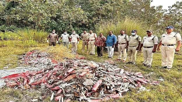  15 టన్నుల పేలుడు పదార్థాల కాల్చివేత
