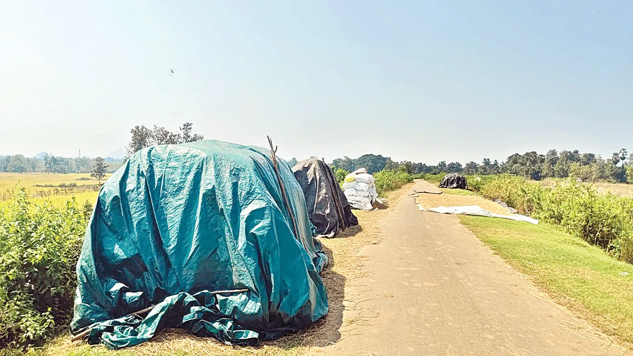 లక్ష్యం ఎక్కువ.. కొనుగోలు తక్కువ
