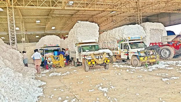 సీసీఐ రికార్డు బ్రేక్‌ 