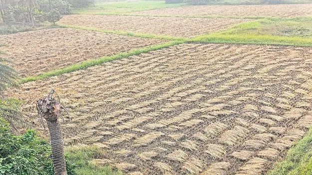 రైతన్నలో గుబులు