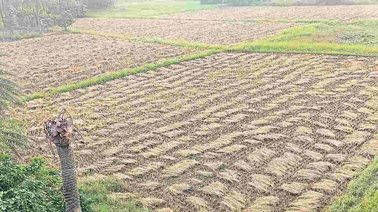 రైతన్నలో గుబులు