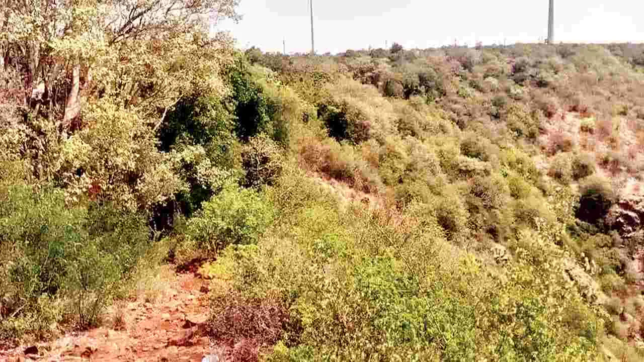    కొలిమిగుండ్లలో నక్సల్స్‌ కలకలం! 