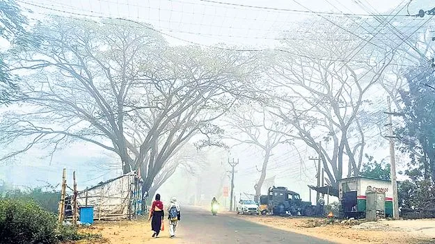 మన్యం గజగజ