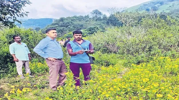 నేరాలు తగ్గుముఖం