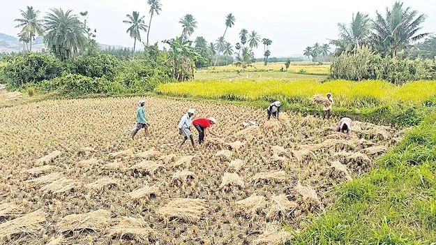 అన్నదాతల్లో తుఫాన్‌ బెంగ
