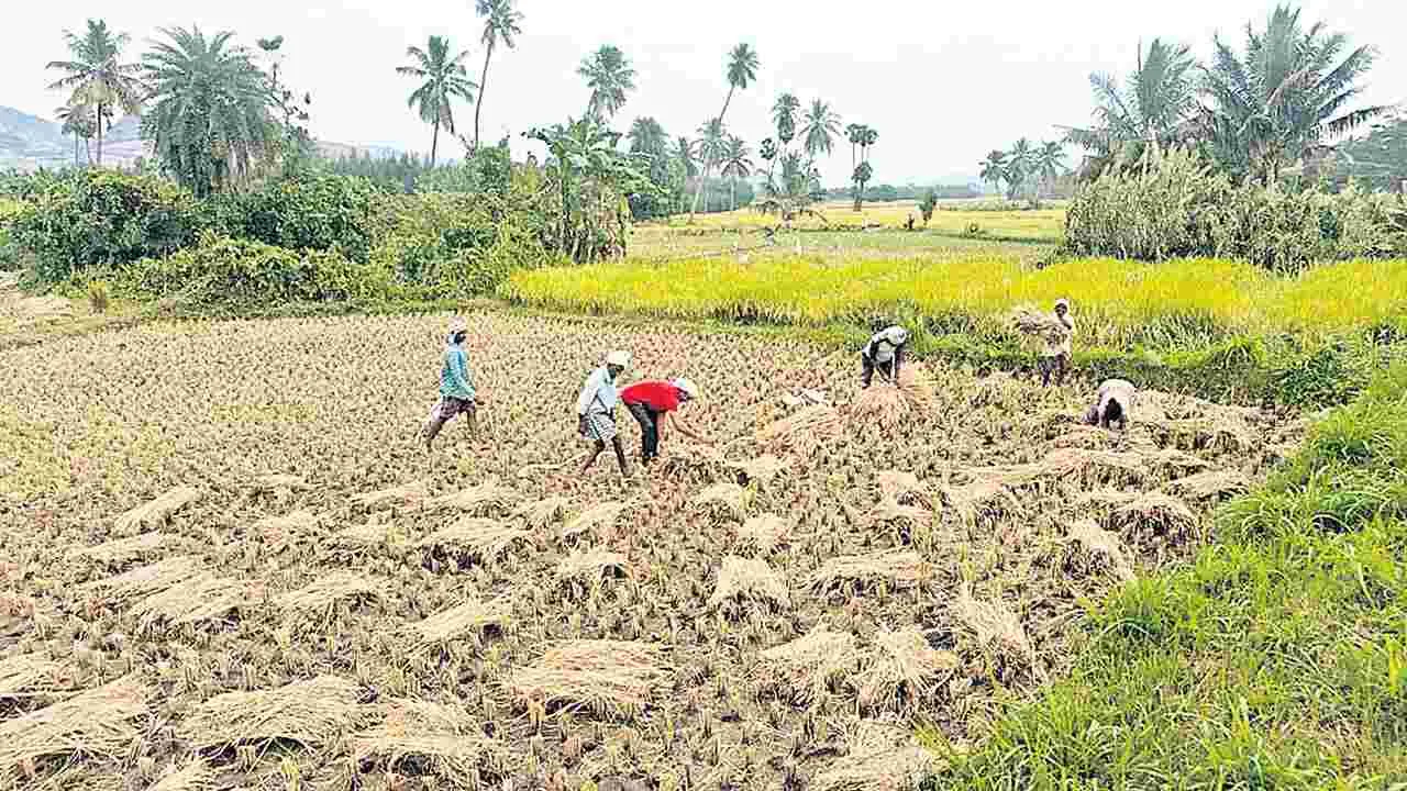 అన్నదాతల్లో తుఫాన్‌ బెంగ