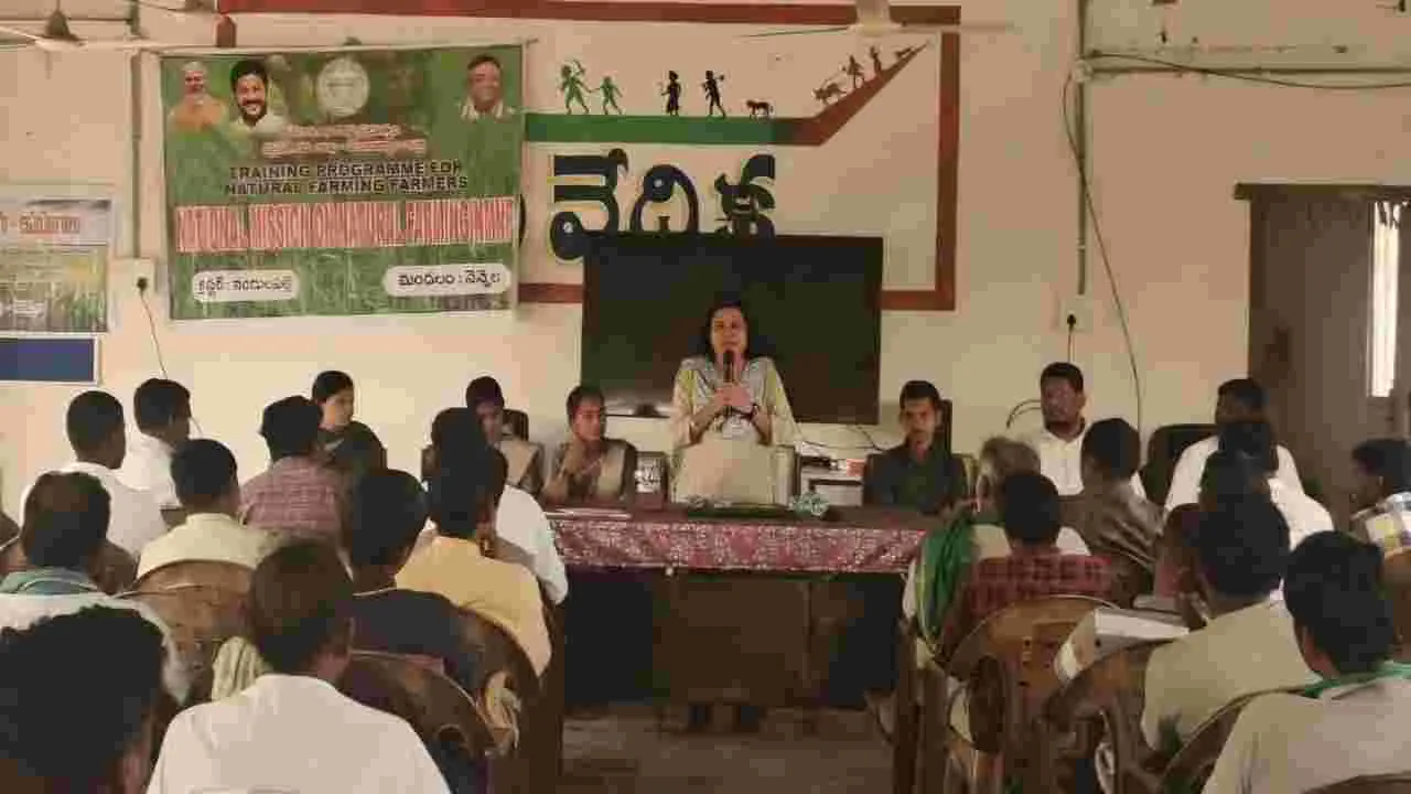 ప్రకృతి సేధ్యంతో ఆదాయం.. ఆరోగ్యం