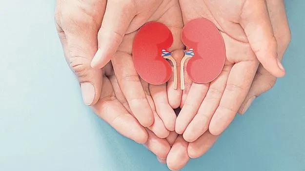 Polycystic kidney disorder: మూత్రపిండాల మీద ఓ కన్నేసి...
