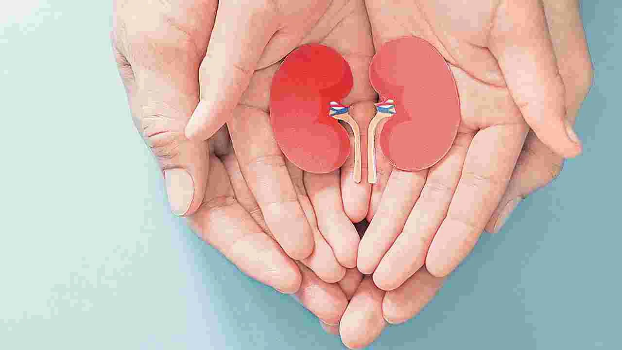 Polycystic kidney disorder: మూత్రపిండాల మీద ఓ కన్నేసి...