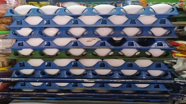 Peddapalli: కోడి గుడ్డు కొనేదెలా?