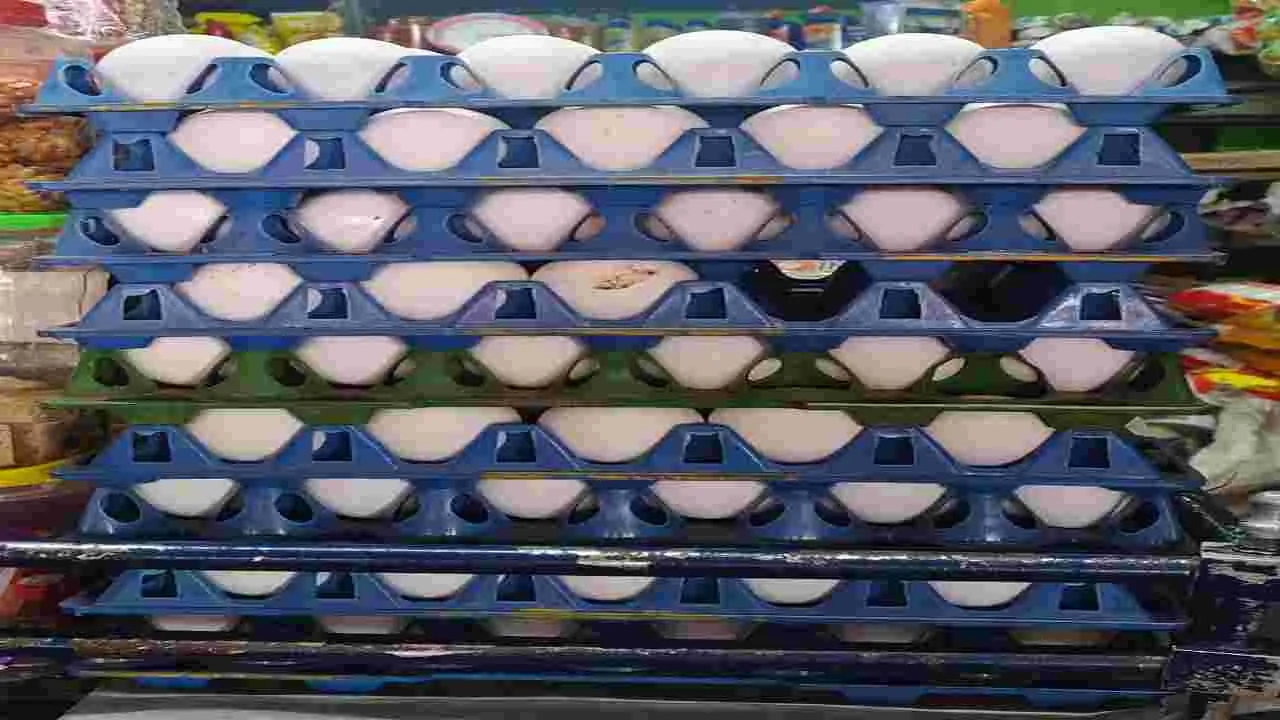 Peddapalli: కోడి గుడ్డు కొనేదెలా?