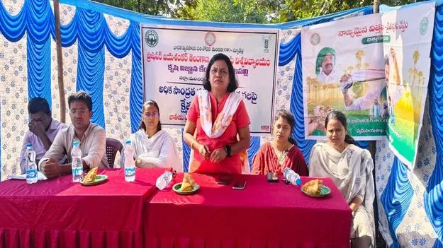 అధిక సాంద్రత పత్తితో మంచి దిగుబడి