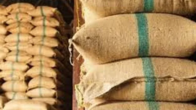 Ration Rice Scam: 300 క్వింటాళ్ల రేషన్‌ బియ్యం దారి మళ్లింపు