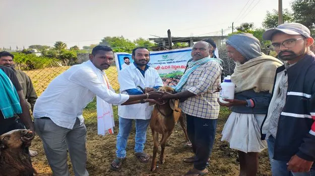 నట్టల నివారణ మందును సద్వినియోగం చేసుకోవాలి