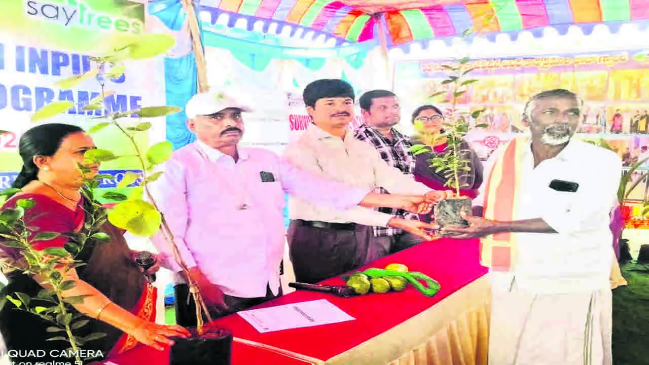 RDO: రైతులకు పండ్ల మొక్కల పంపిణీ