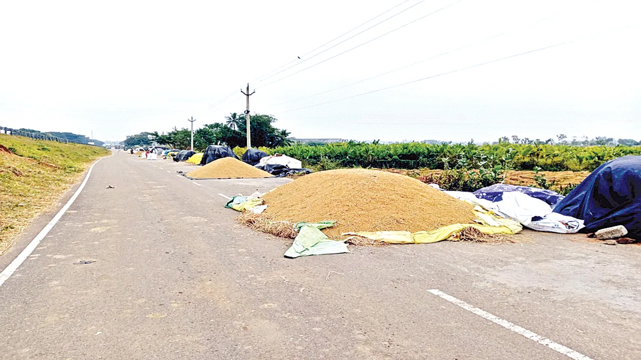  ధాన్యం తడిచి.. పొలాల్లో నీరు చేరి