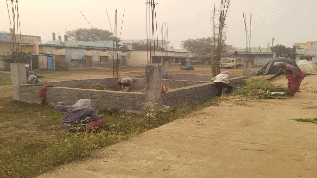 పిచ్చి మొక్కలు తొలగించాలన్నా.. ఎమ్మెల్యే పర్యటించాల్సిందే..!