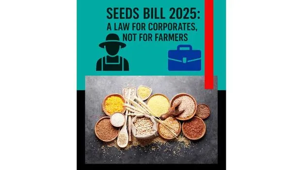 Seed Act 2025: విత్తన చట్టానికి ఈ సవరణలు చేయాలి
