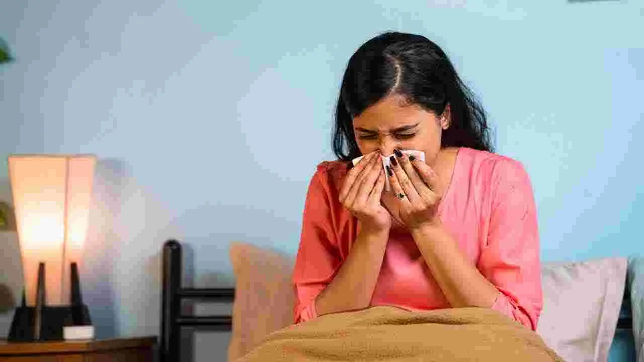 Winter Health Tips: చలికాలం వ్యాధులకు దూరంగా