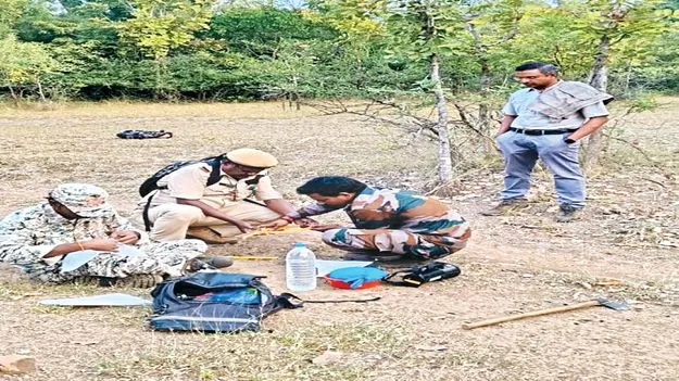 పకడ్బందీగా వన్యప్రాణులను లెక్కిస్తాం 