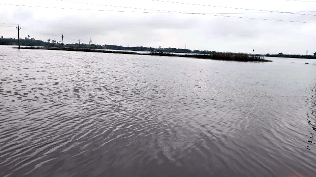 దిత్వా ఎఫెక్ట్‌  ఏడు మండలాల్లో భారీ వర్షం