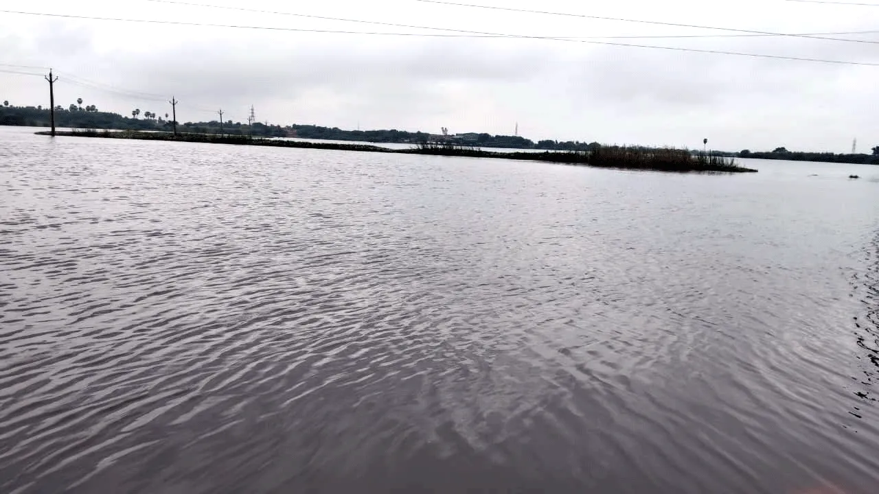 దిత్వా ఎఫెక్ట్‌  ఏడు మండలాల్లో భారీ వర్షం