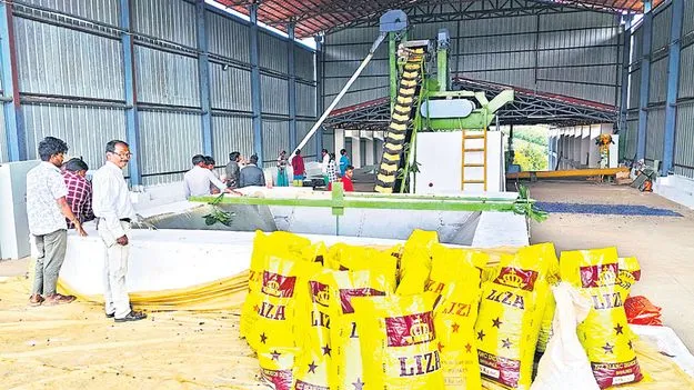 మందకొడిగా కాఫీ పల్పింగ్‌