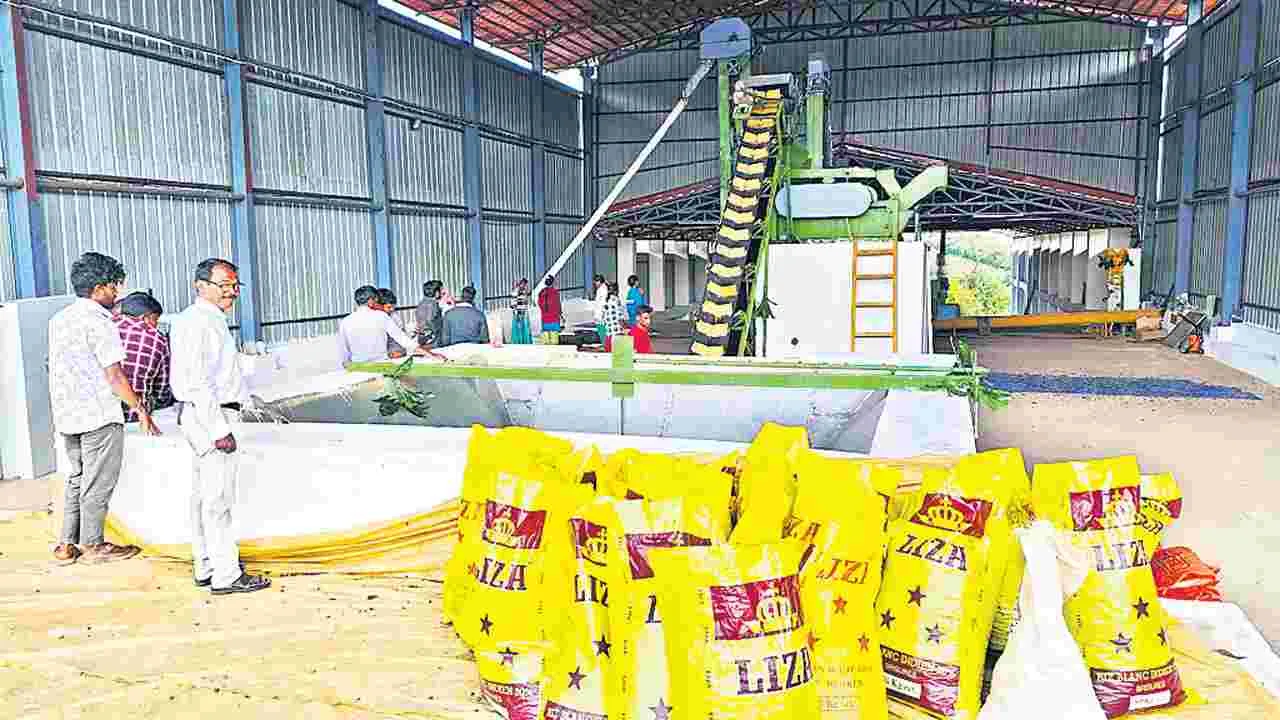 మందకొడిగా కాఫీ పల్పింగ్‌