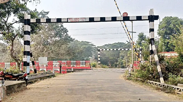 ఒడిశా నుంచి వచ్చేస్తున్నాయ్‌!