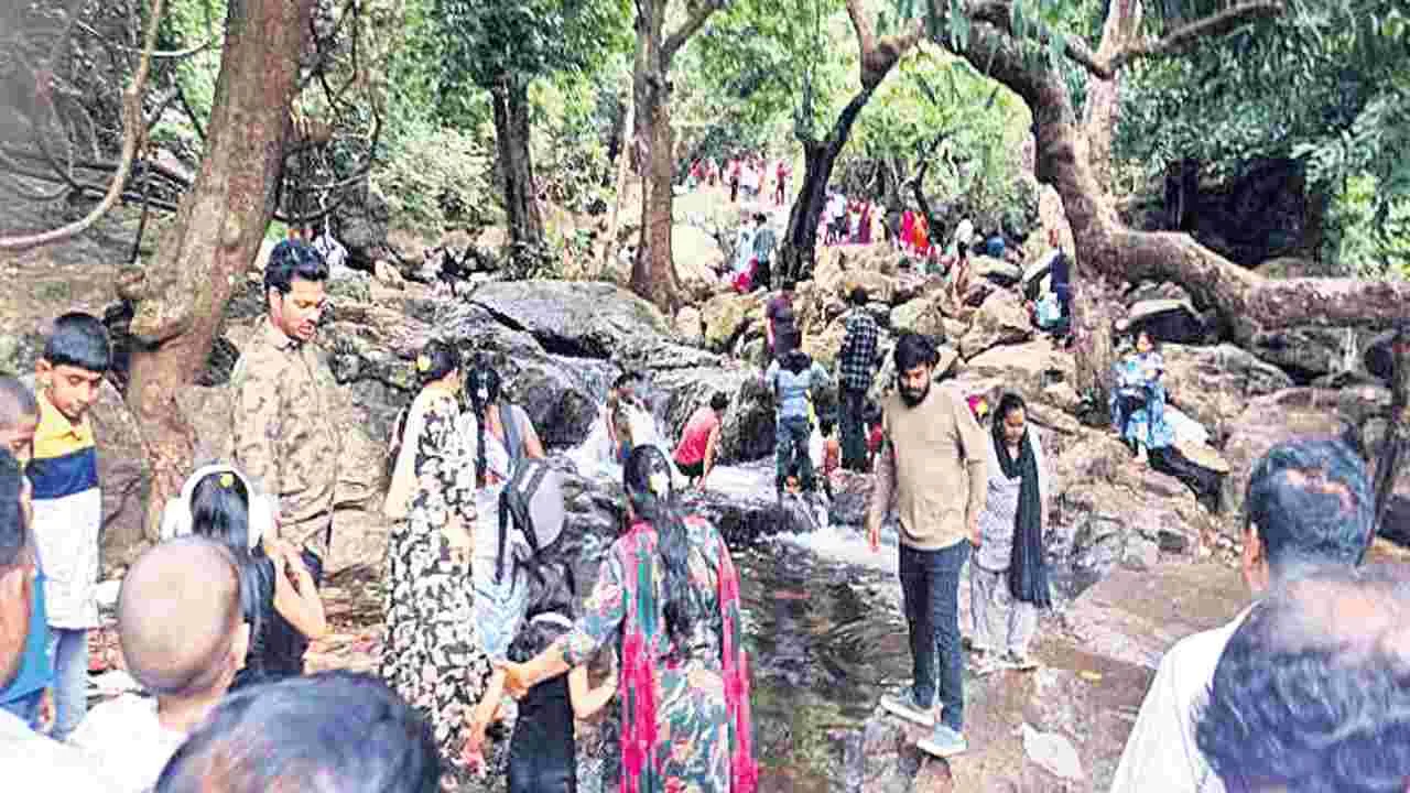 పర్యాటకుల సందడి