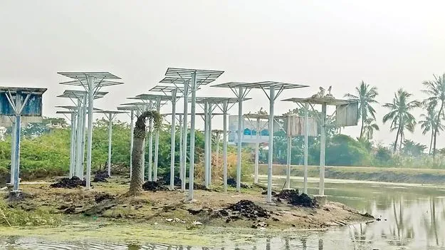 కొల్లేరుకు కొత్తకళ