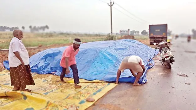 దిత్వా గుబులు