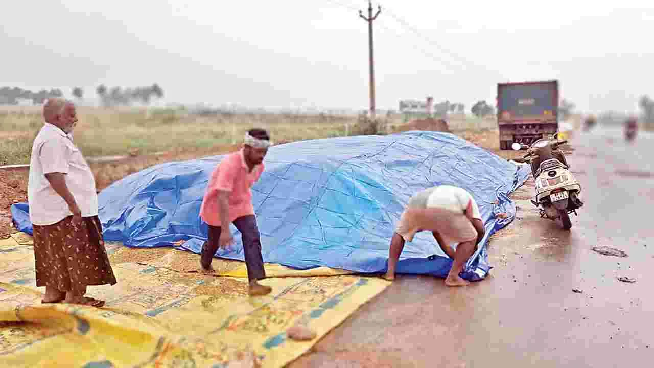 దిత్వా గుబులు