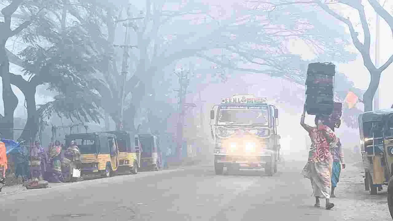 మన్యాన్ని కమ్మేసిన పొగమంచు 