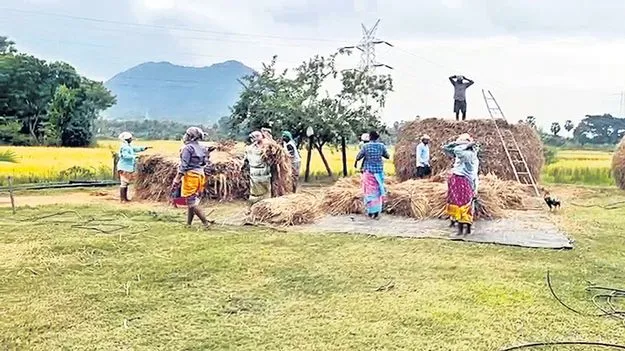 రైతుల్లో గుబులు