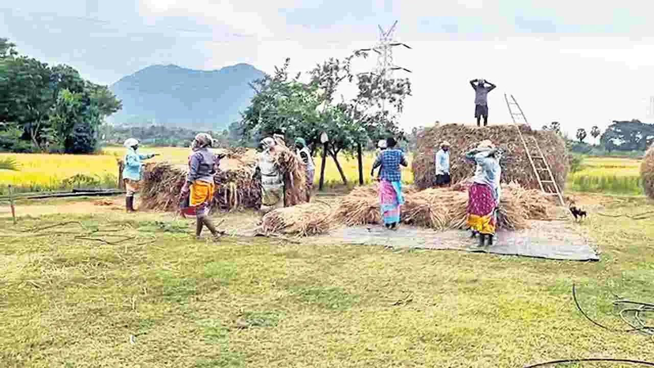 రైతుల్లో గుబులు