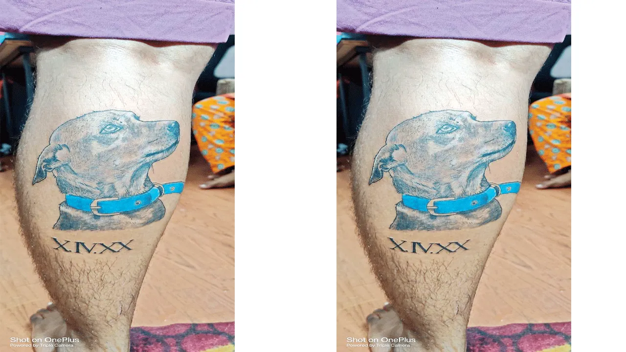 శునకంపై మమకారంతో పచ్చబొట్టు