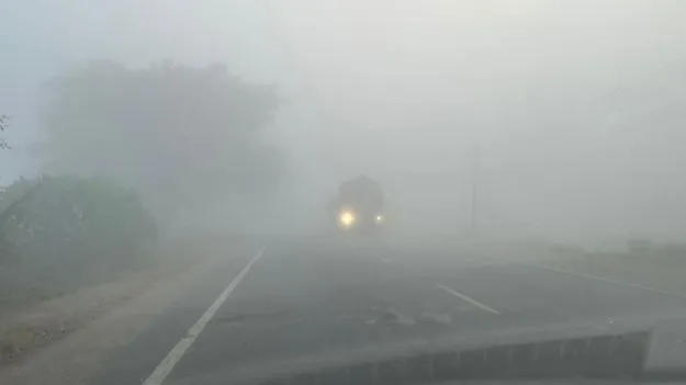 Peddapalli: కమ్ముకున్న పొగ మంచు..