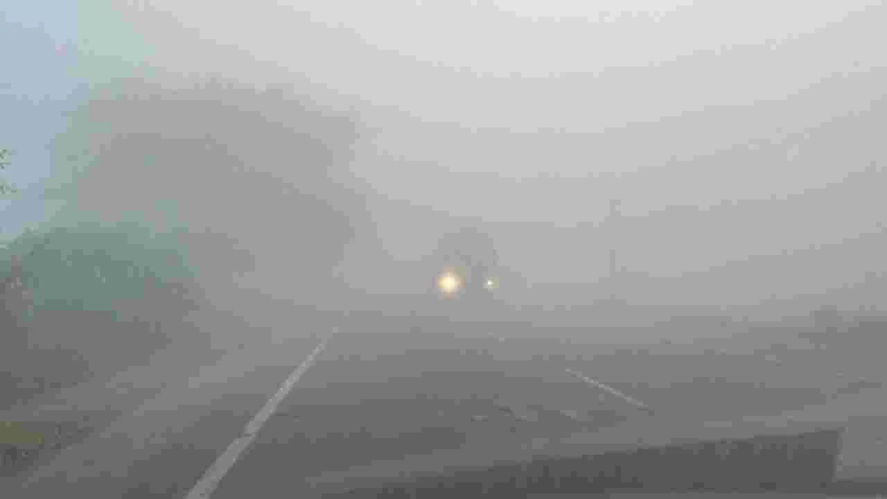 Peddapalli: కమ్ముకున్న పొగ మంచు..