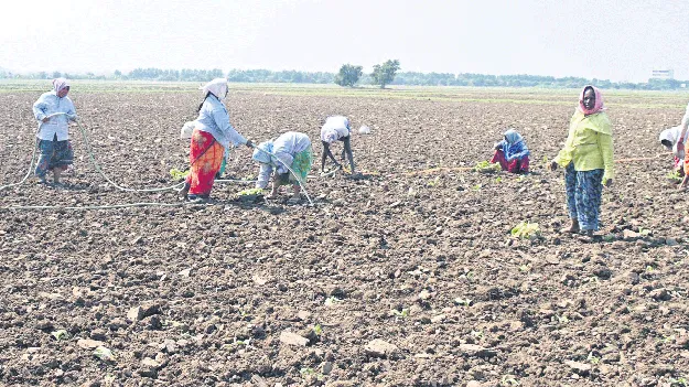 ఆరంభంలోనే అవస్థలు