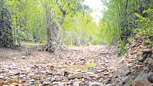 మర్రిపాలెం గూడేనికి దారేది