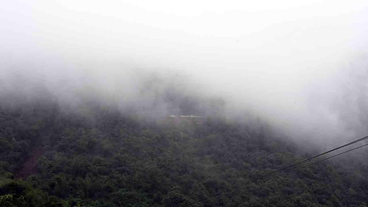 Dense Fog Covers Tirumala: తిరుమలలో దట్టమైన పొగమంచు.. ఆలయ పరిసరాలు, ఘాట్ రోడ్లు మంచు మయం..