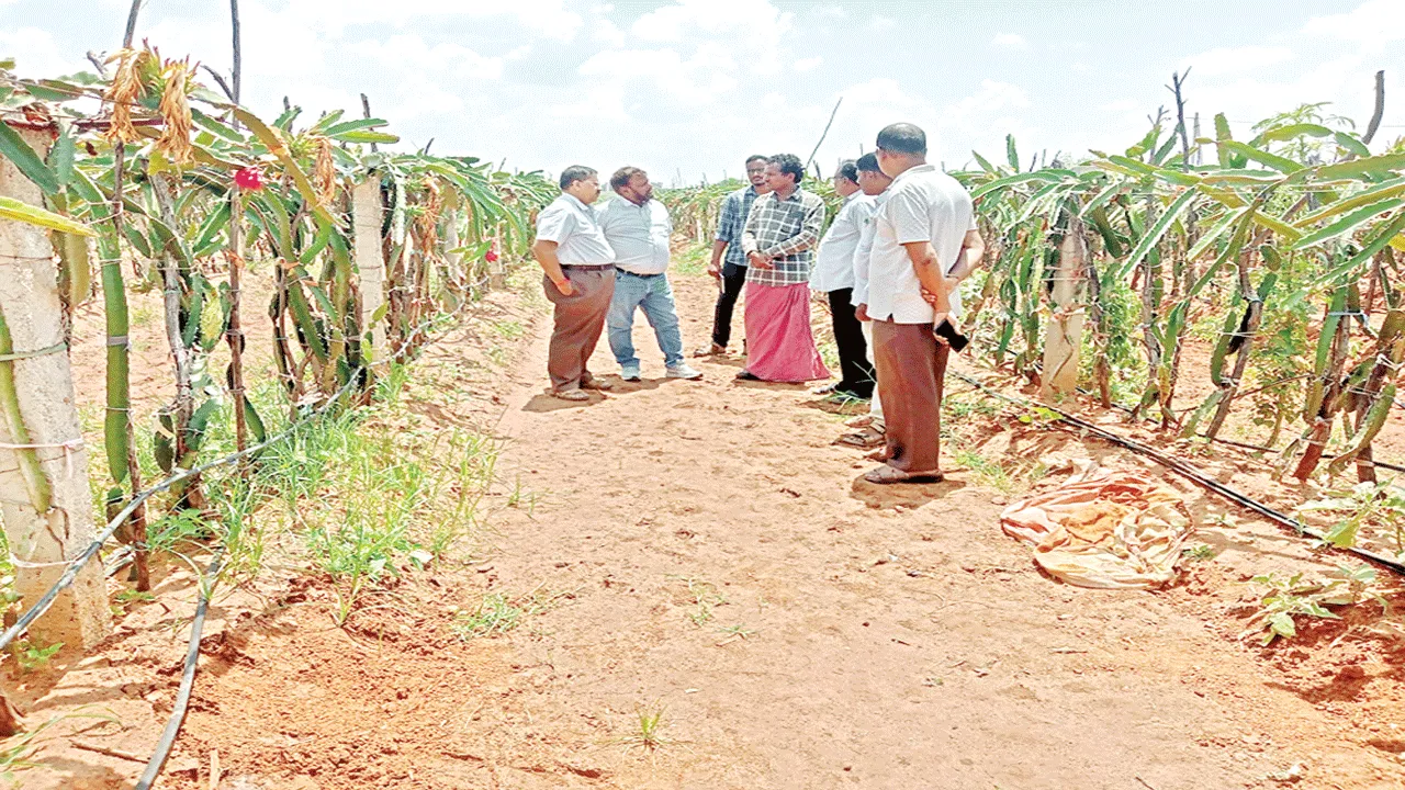 డ్రిప్‌ పరికరాలపై జీఎస్టీ  తగ్గింపు