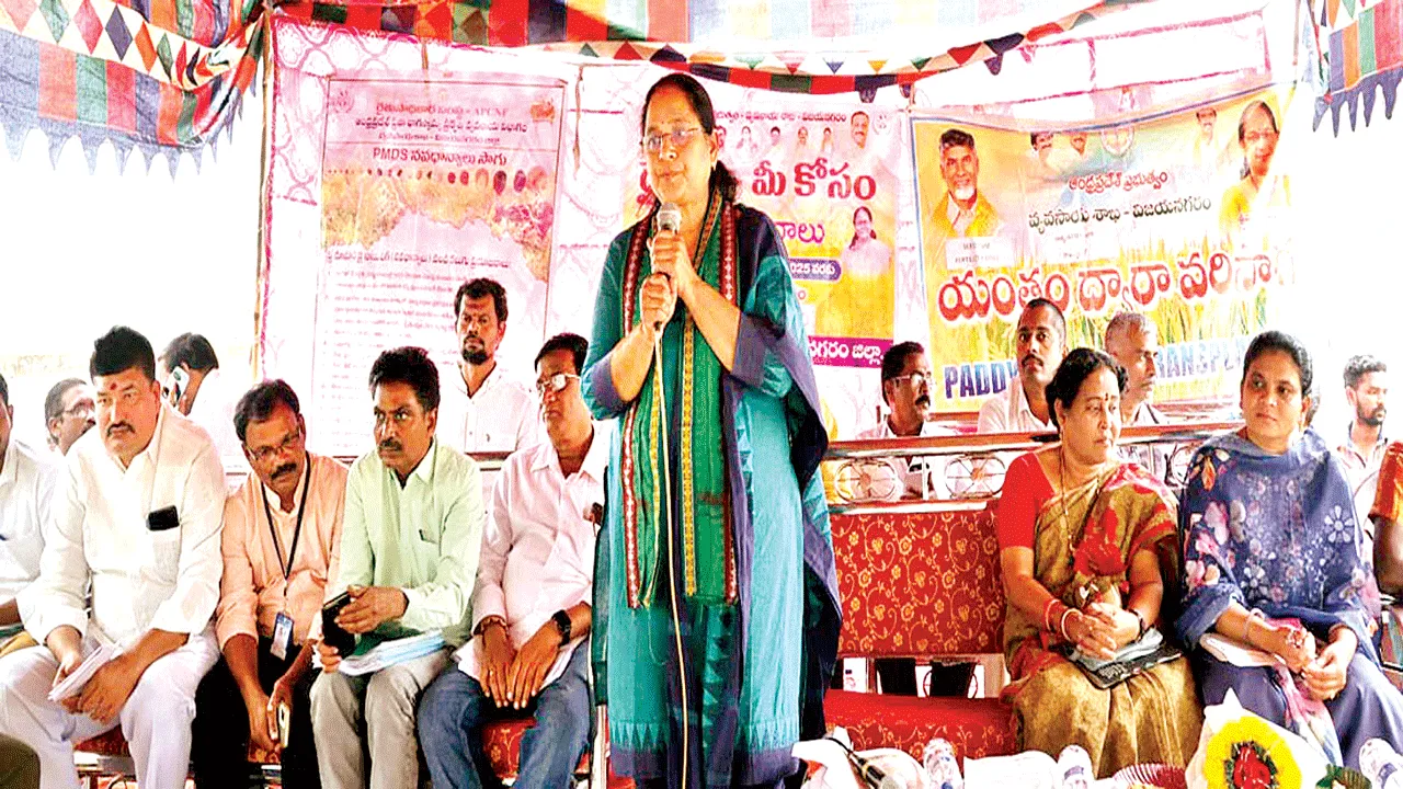 చిరుధాన్యాల సాగుపై దృష్టిసారించాలి